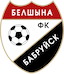 FC Belshina Babruisk