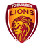 FC Bulleen Lions