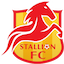 Stallions FC